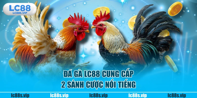 Đá gà LC88 cung cấp 2 sảnh cược nổi tiếng