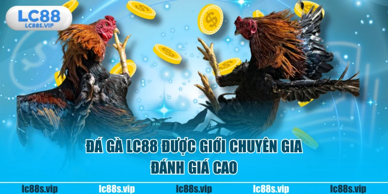 Đá gà LC88 được giới chuyên gia đánh giá cao