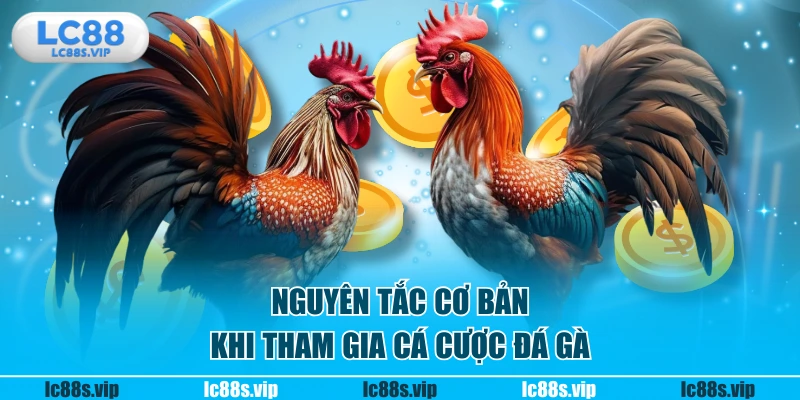 Nguyên tắc cơ bản khi tham gia cá cược đá gà
