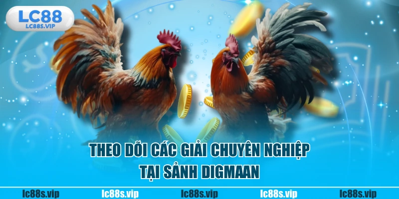 Theo dõi các giải chuyên nghiệp tại sảnh DIGMAAN